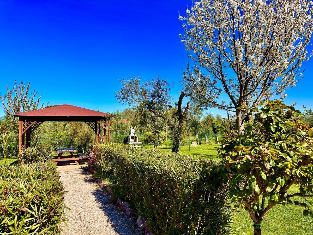 Agriturismo Re Di Fiori دونوراتيكو المظهر الخارجي الصورة